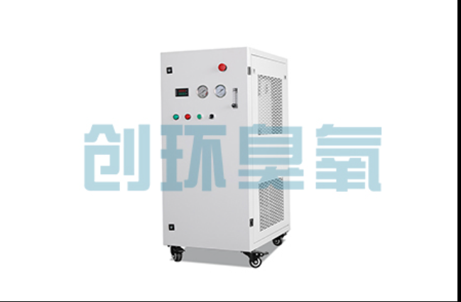 复兴工厂化养鲈必看：2026年臭氧发生器替代传统消毒的最新方案