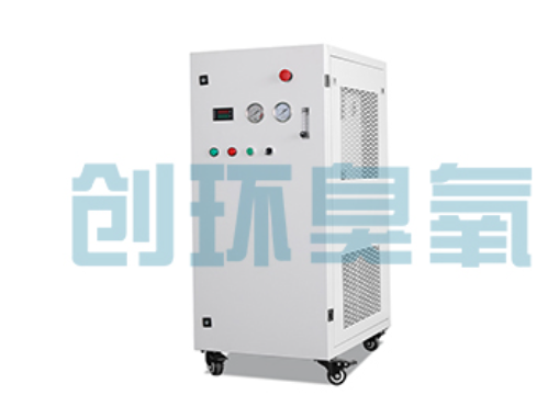 复兴石斑鱼养殖水质调控完整指南：臭氧发生器配置与操作步骤