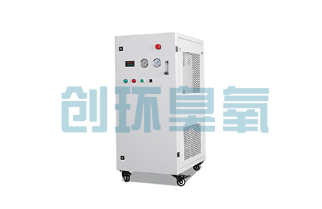 复兴比传统换水更高效？臭氧发生器在石斑鱼养殖中的水质净化原理解析
