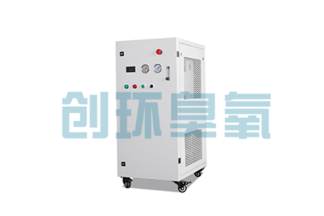 复兴比传统换水更高效？臭氧发生器在石斑鱼养殖中的水质净化原理解析